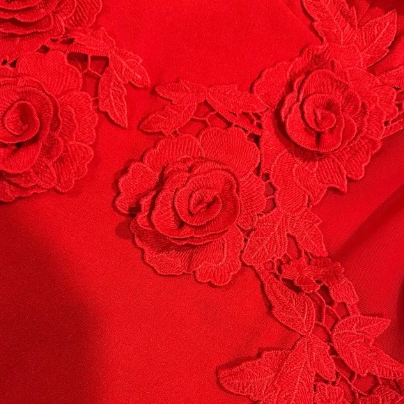 Windsor Scarlet Lace Detail Mini Dress - Picture 5 of 7